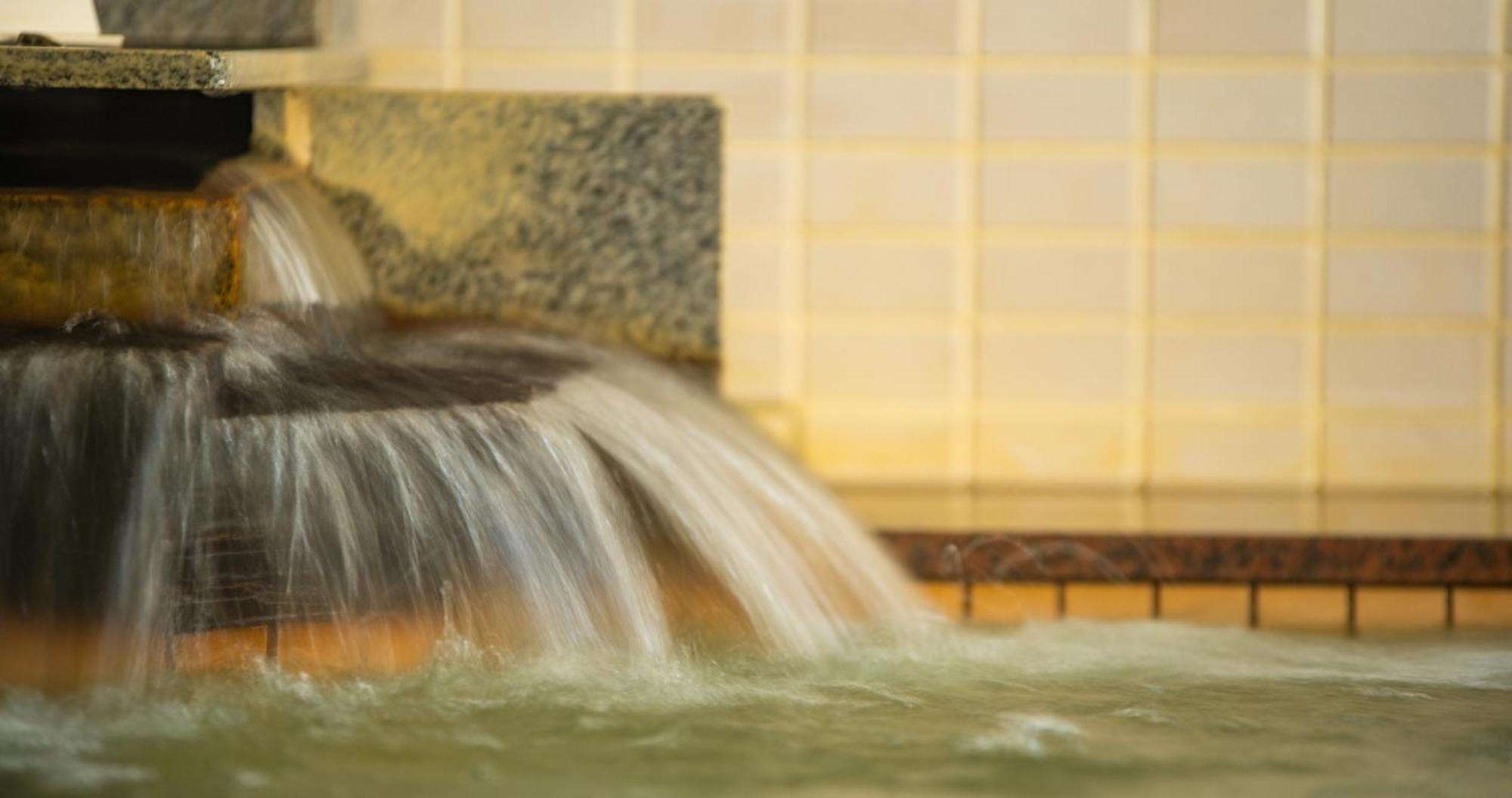Shiga Grand Hotel Yamanouchi  Bagian luar foto